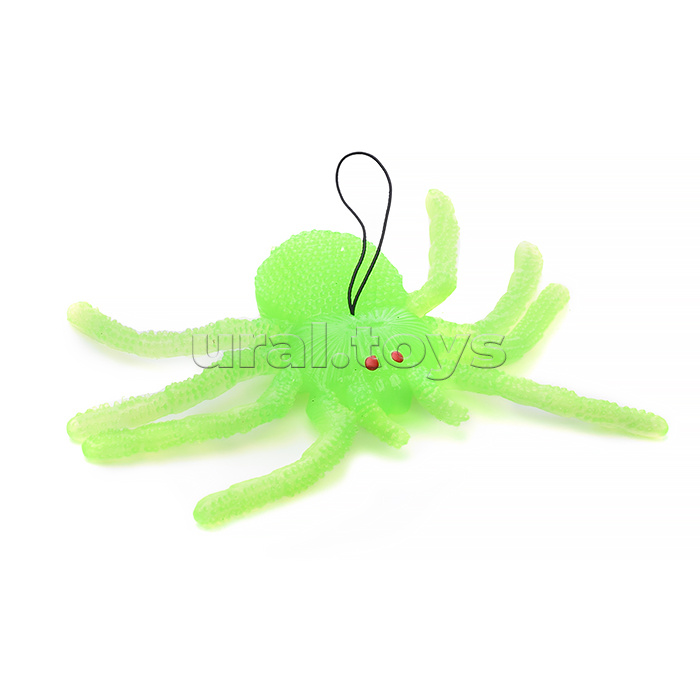 Паук, в пакете