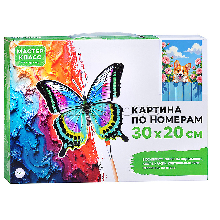 Картина по номерам "Корги" 30х20 см.