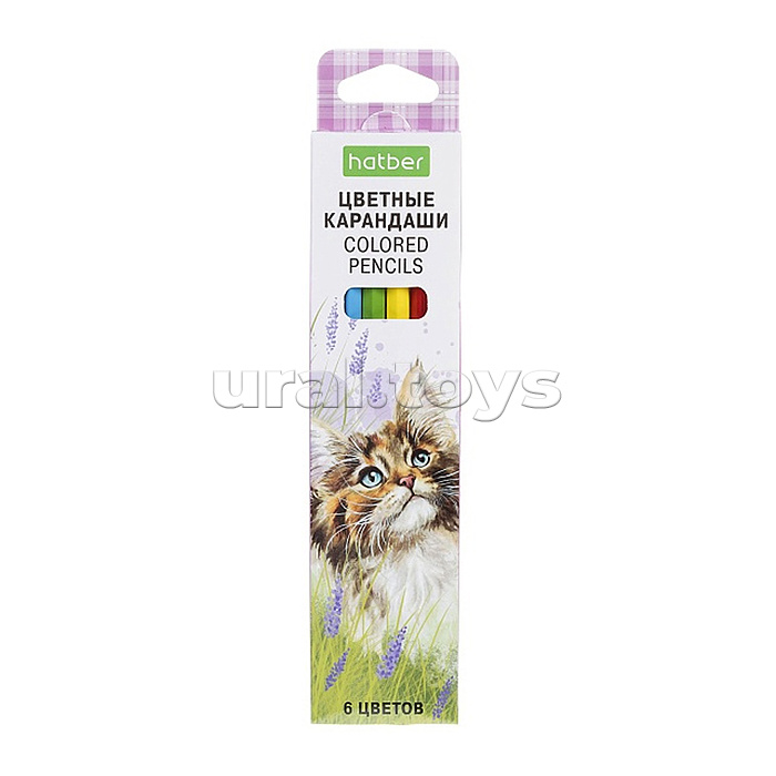 Карандаши цветные 6цв. ECO "Котики бывают разными" заточен.  в карт. коробке с европодвесом