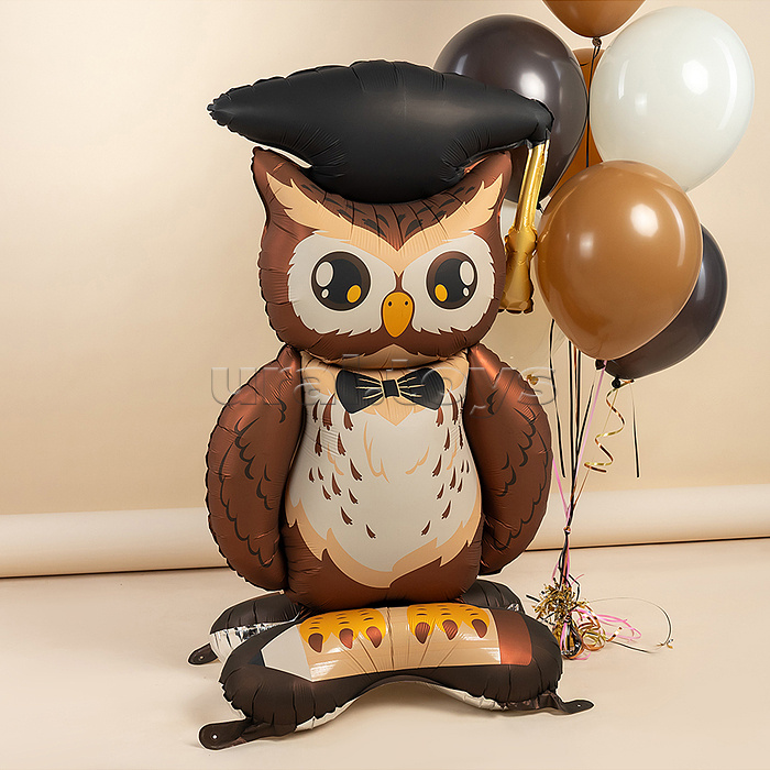 Шар 3D (59''/150 см) Фигура на подставке, Сова Выпускник, 1 шт. в уп.