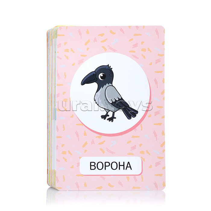 Первые слова. Животные Первые слова. Животные