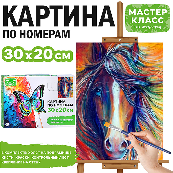 Набор для рисования "Картина по номерам 30х20 см. Чарующая лошадь"