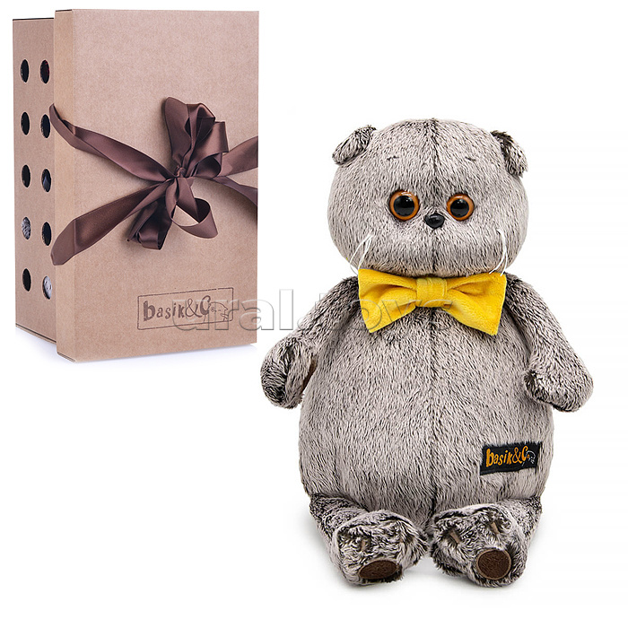 Кот Басик в галстуке-бабочке