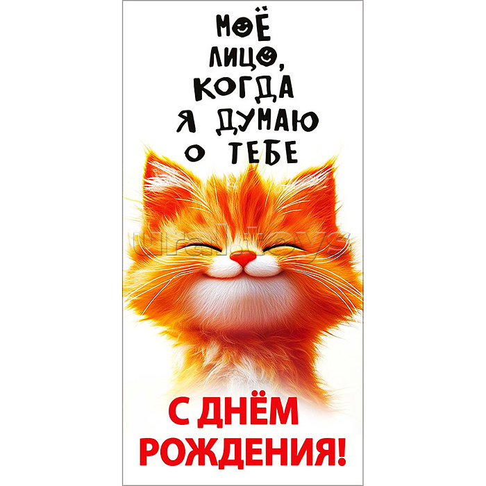 Конверт для денег "С днём рождения!" (рыжий кот)
