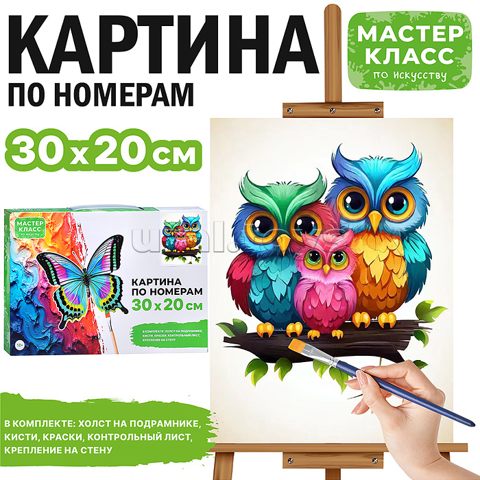 Картина по номерам "Семья сов" 30*20 см.
