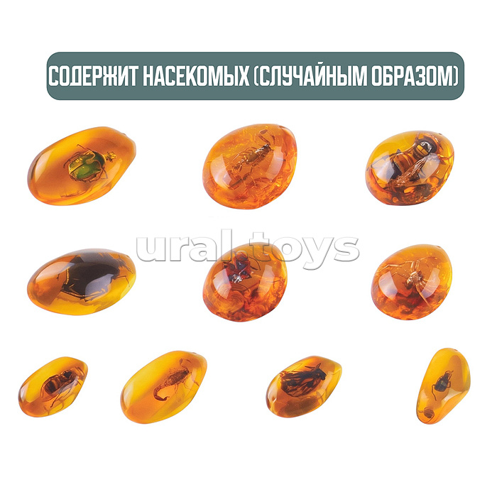 Раскопки "Древний мир" в коробке