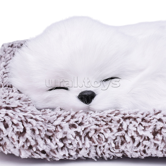 Набор питомец "Забавный пушистик" в пакете