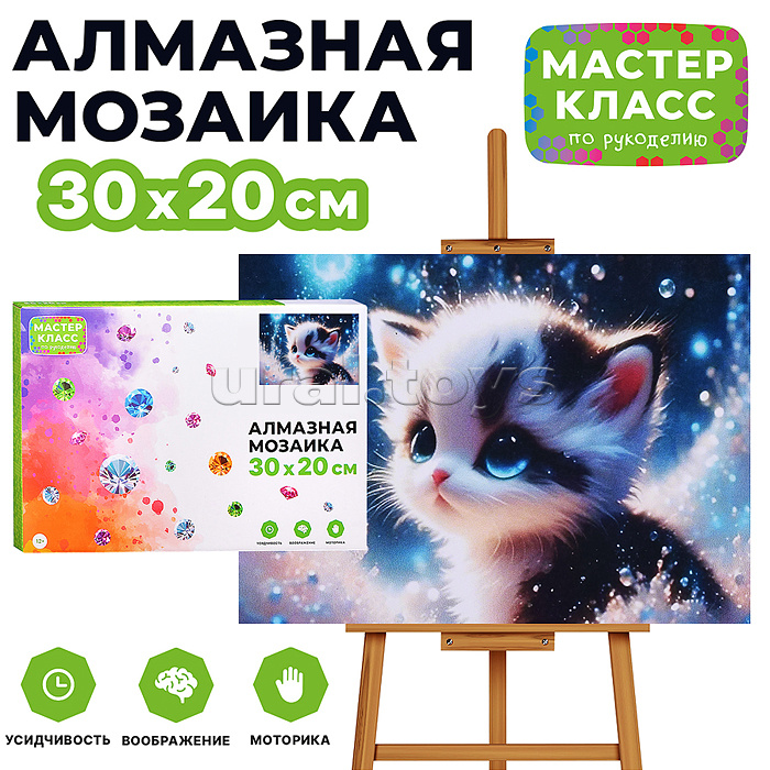 Мозаика алмазная "Голубоглазый котёнок" 20*30см.