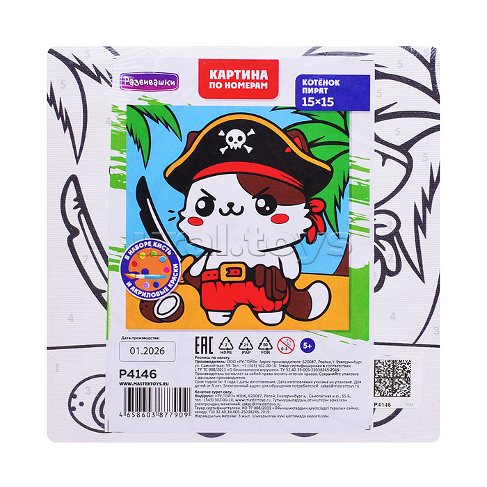 Картина по номерам "Котёнок-пират" 15х15см