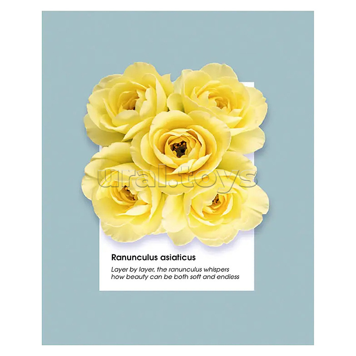 Тетрадь 48л. клетка серая "Гербарий"А5 скрепка