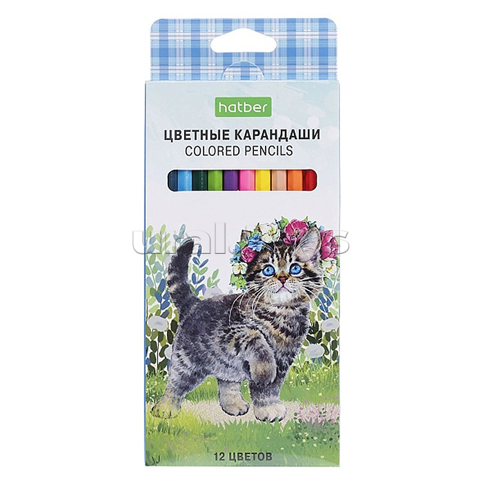 Карандаши цветные 12цв. ECO "Котики бывают разными" заточен. в карт. коробке с европодвесом Карандаши цветные 12цв. ECO "Котики бывают разными" заточен. в карт. коробке с европодвесом