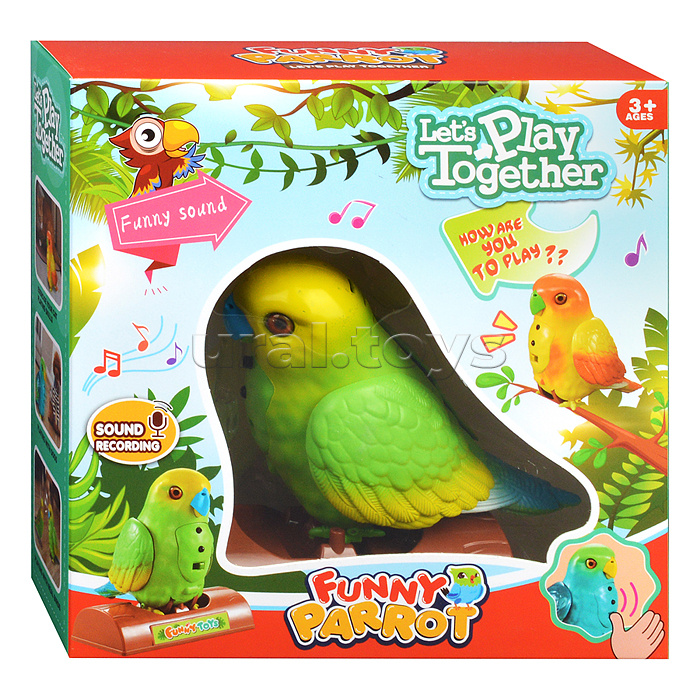 Птичка "Попугай Кеша" в коробке