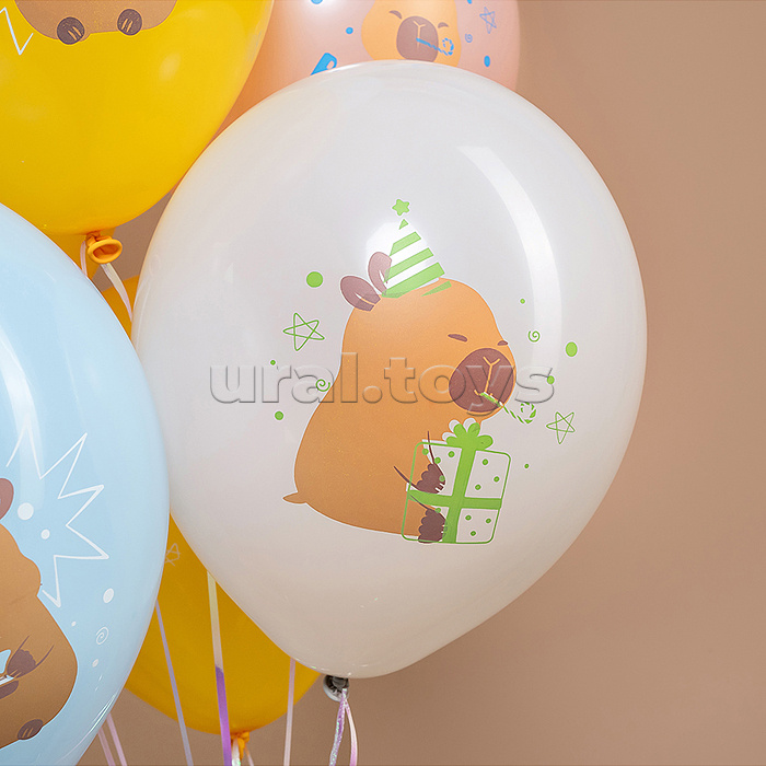 Шар (12''/30 см) Капибары, С Днем Рождения!, Ассорти, пастель, 2 ст, 25 шт.