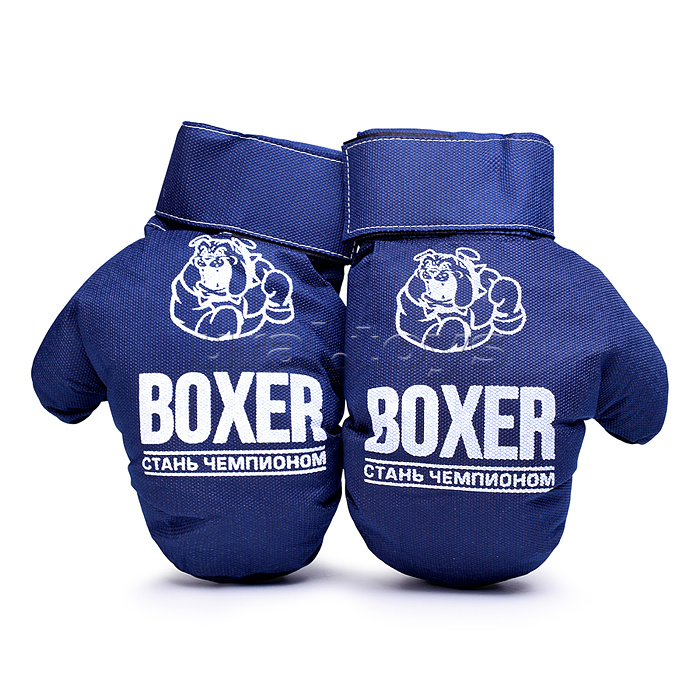 Боксерский набор №2А 40см (мешок - экокожа; перчатки - текстиль) синий