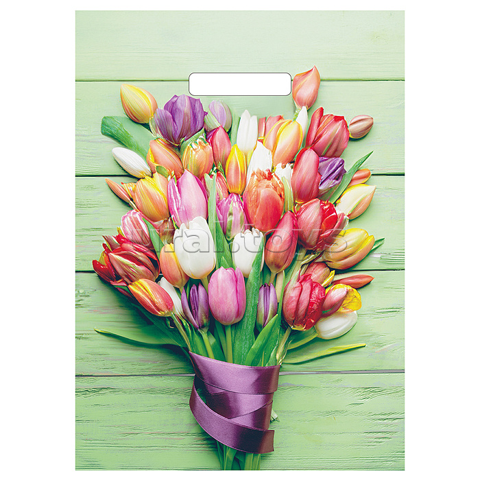 Пакет ПЭ с вырубной ручкой 29x40см (35) (Весенняя мечта)