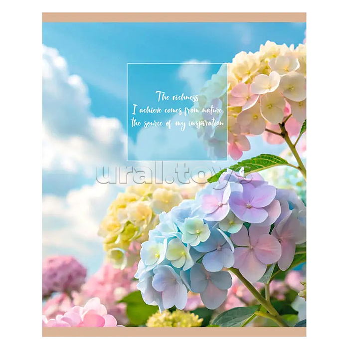 Тетрадь 48л. клетка "Нежный рассвет" А5 скрепка