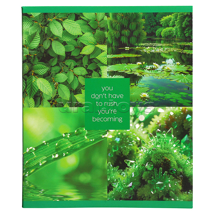 Тетрадь 48л. клетка "Природная красота" А5 скрепка