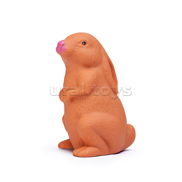 Набор питомец "Пушистый компаньон" в коробке