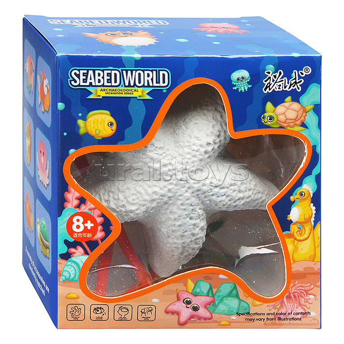 Раскопки "Морская звезда" в коробке