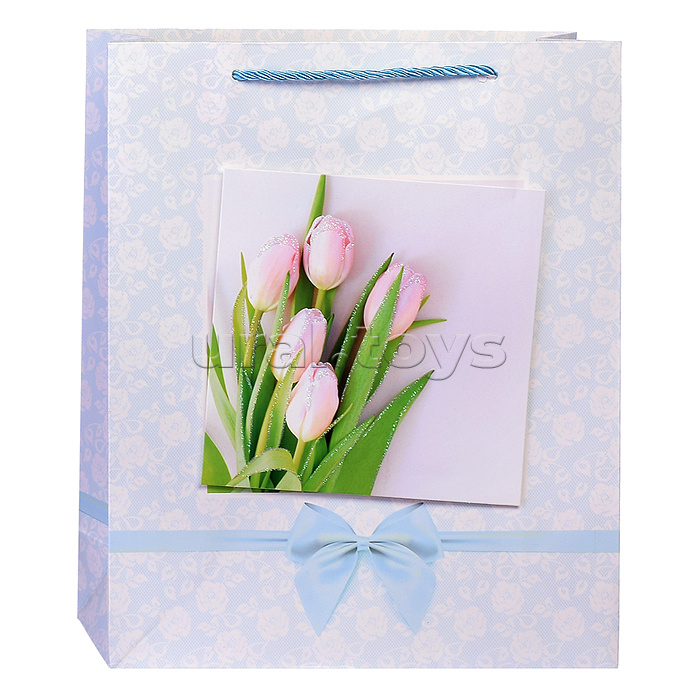 Пакет подарочный "Нежные тюльпаны" 26x10x32 см