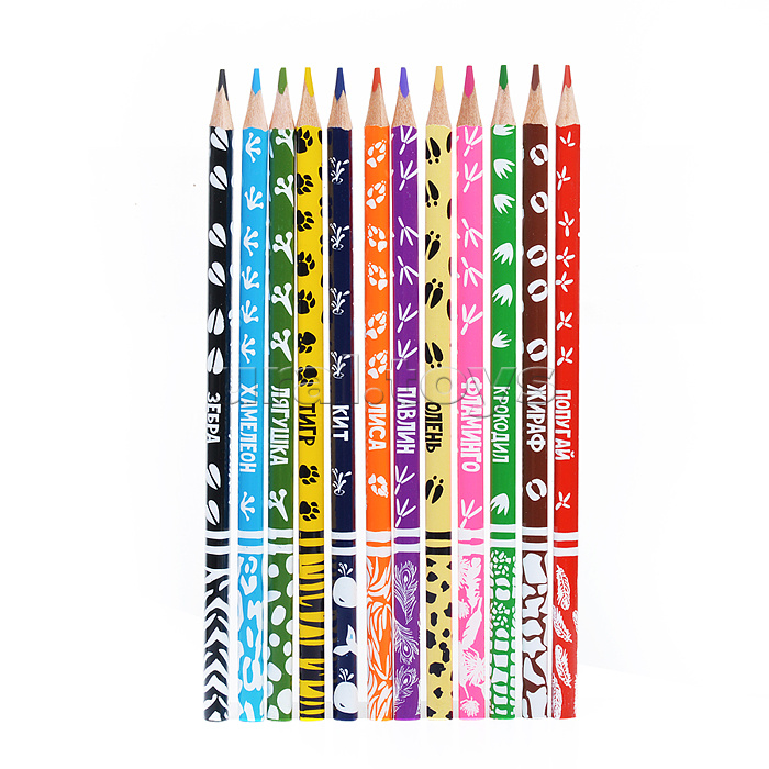 Набор цветных карандашей 12 цв. "Зоопарк" трехгран. корп. дерев. карт.уп. принт на корпусе