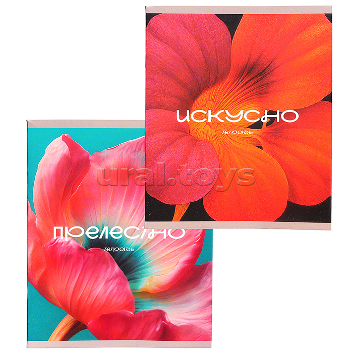 Тетрадь 48л. клетка "Цветение" А5 скрепка