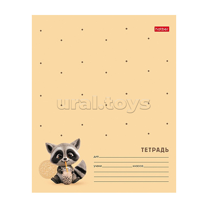 Тетрадь 12л. клетка "Вот енот" А5ф 60-65г/кв.м на скобе Обл. мел.картон 5 диз.в блоке скругл.углы