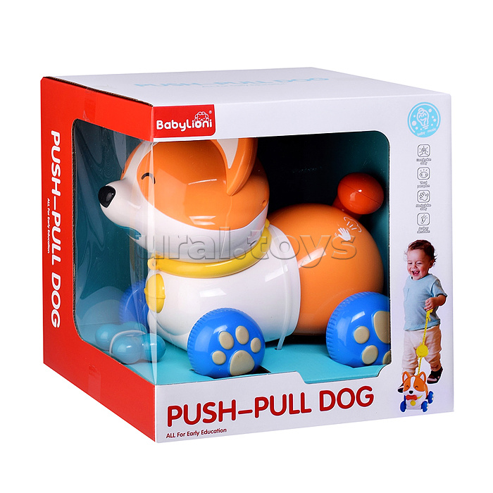 Собака "Каталка Корги" в коробке