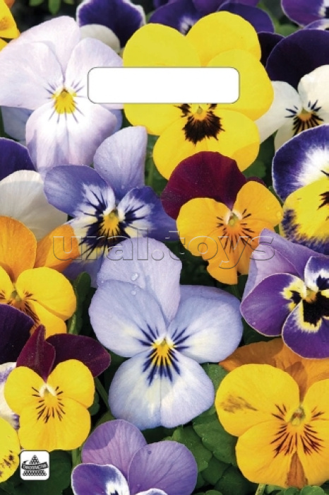 Пакет ПЭ с вырубной неусиленной ручкой 20x30см "Анютины глазки"