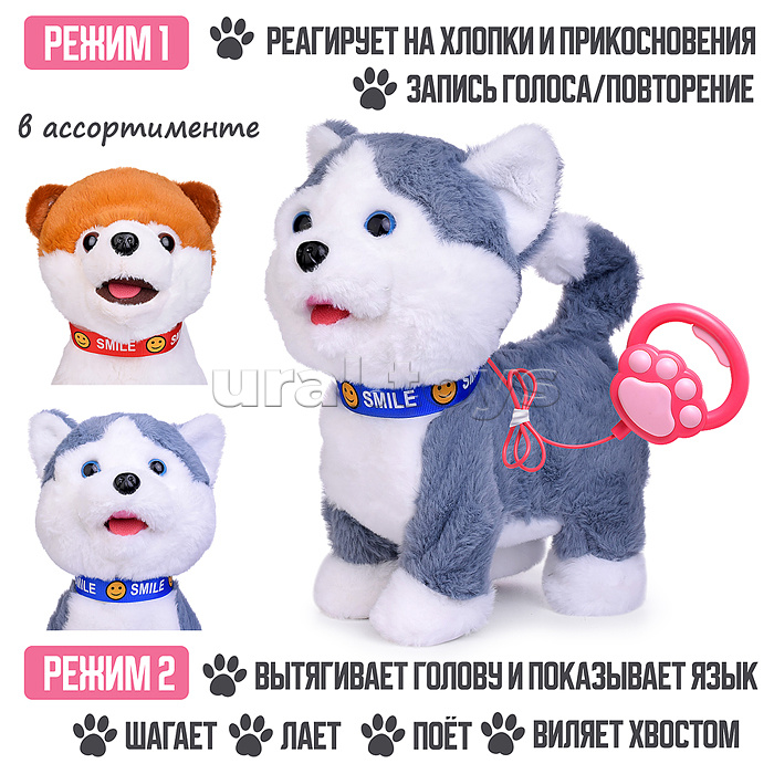 Собака "Джек" (записывает, поёт, двигается) в пакете