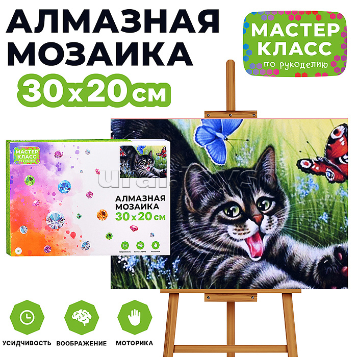 Мозаика алмазная "Игривый котик" 20*30см.