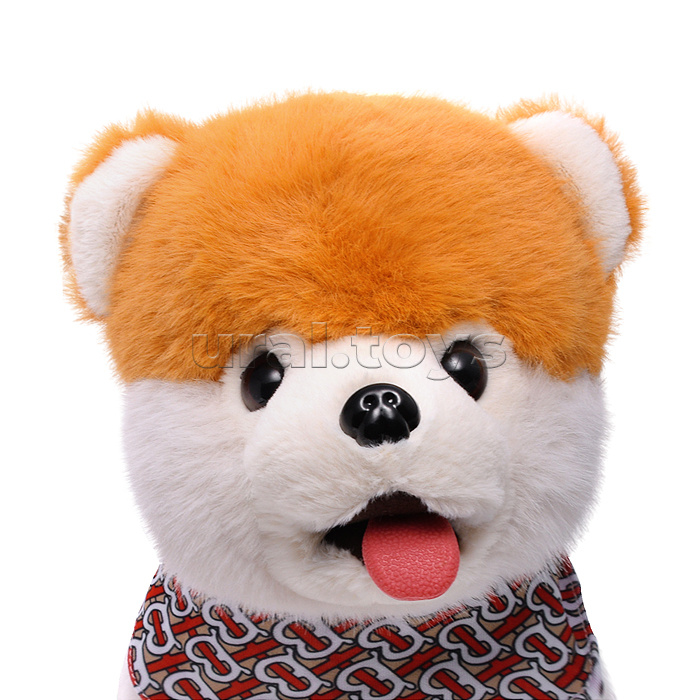 Собака "Боня" (может говорить, ходит, записывает)  в коробке