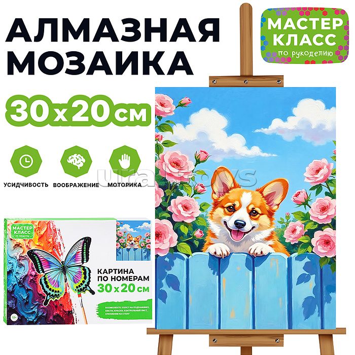Картина по номерам "Корги" 30х20 см.