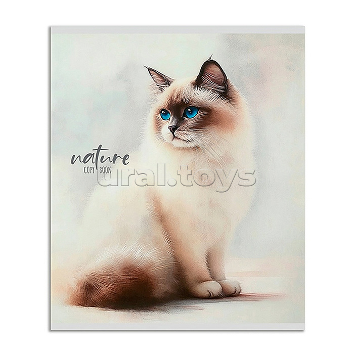 Тетрадь 48л. линия "Красивые коты - 1" цвет. мелов. обл.