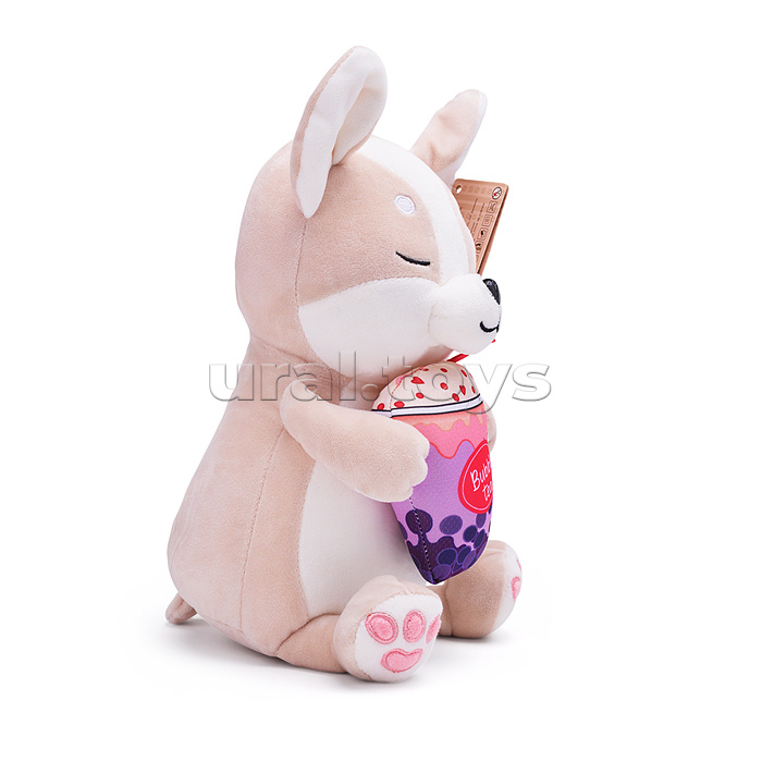 Корги Рэй, 24 см, в коробке