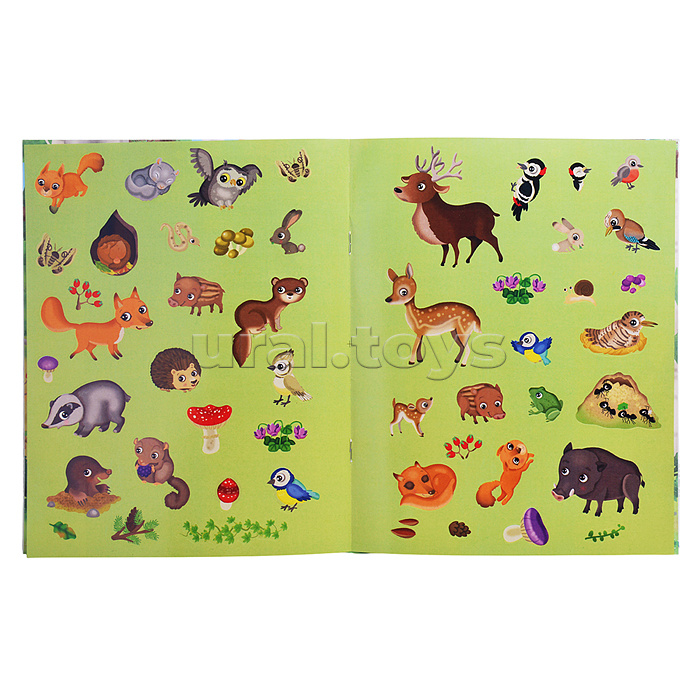 Книжка с наклейками формат А4. Приключения в зеленом лесу. 50 наклеек. Барсотти Э.