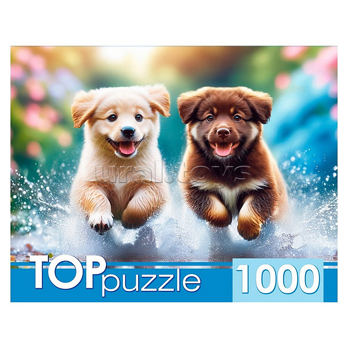 Пазлы 1000 TOPpuzzle "Бегущие щенки"