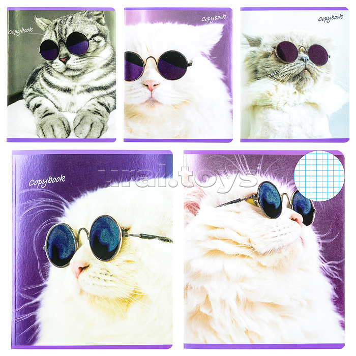 Тетрадь 48л. клетка А5, "Кот Базил" скрепка S премиум Тетрадь 48л. клетка А5, "Кот Базил" скрепка S премиум