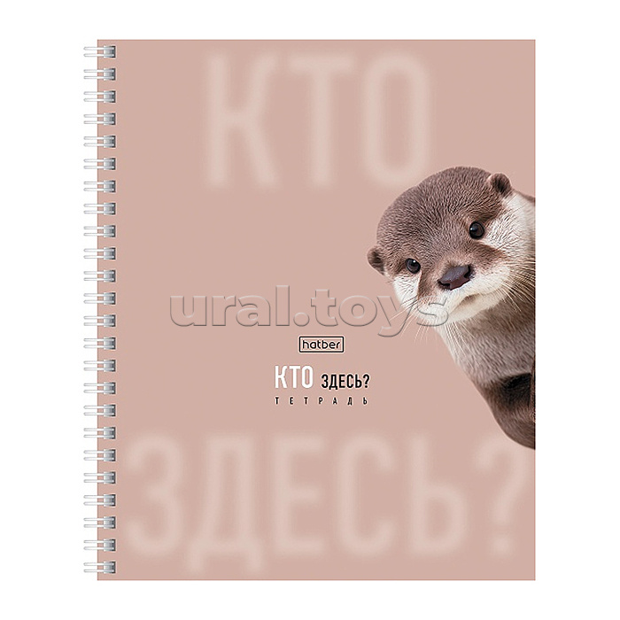 Тетрадь 48л. клетка "Кто здесь?" А5ф 60-65г/кв.м на гребне ламинация перфорация на отрыв 4 диз.