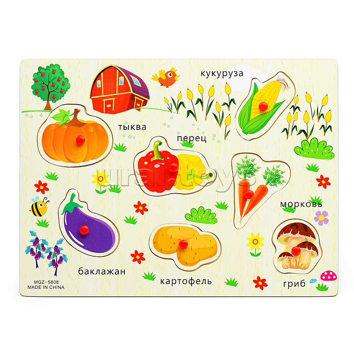 Пазл-вкладыш "Овощи"
