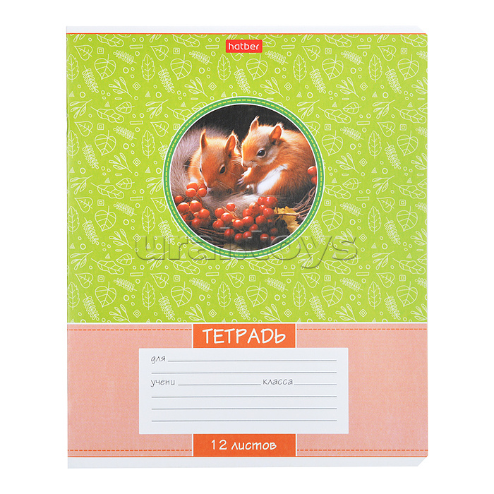 Тетрадь 12л линия "Лесные малыши"
