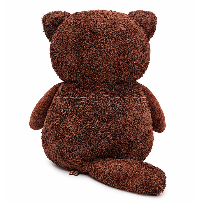 Кот Американо Гранд