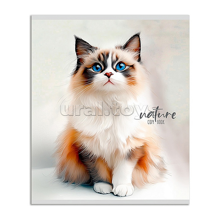 Тетрадь 48л. линия "Красивые коты - 1" цвет. мелов. обл.