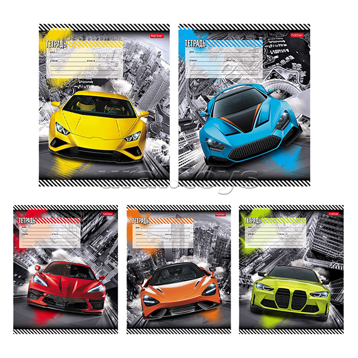 Тетрадь 12л. косая линия с доп.горизонтальной А5ф 65г/кв.м на скобе 5 диз.в блоке скругл.углы