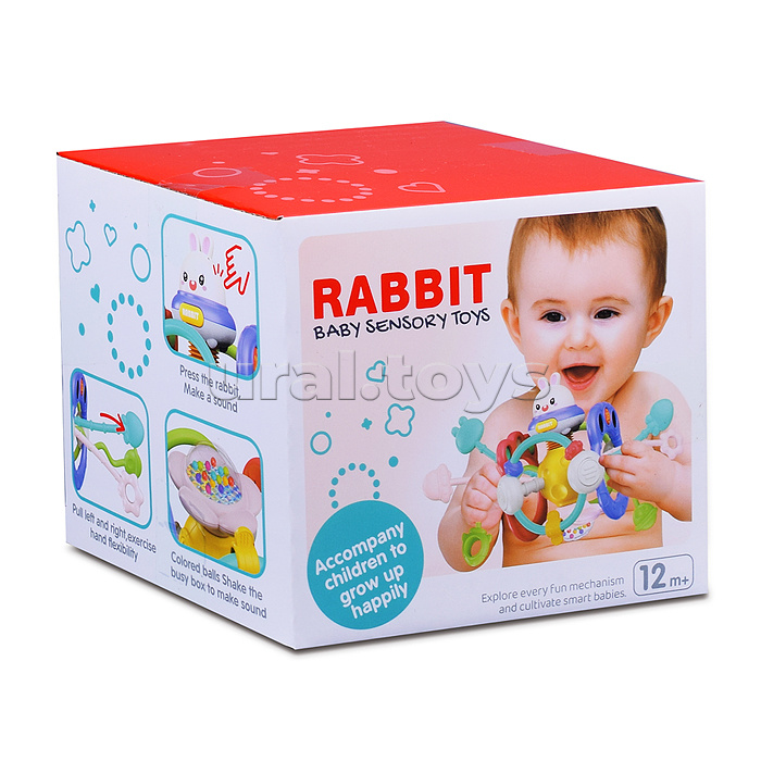 Развивающая игрушка "Зайка" в коробке Развивающая игрушка "Зайка" в коробке
