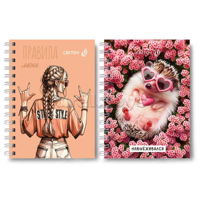 Записная книжка A6 120л. клетка "Мои правила" на гребне