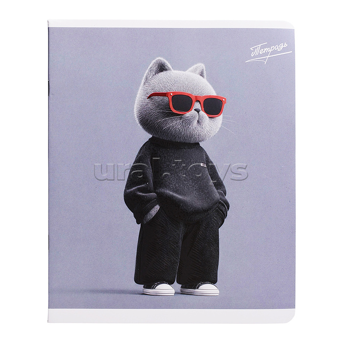 Тетрадь 48 л, клетка "Зумеры" А5+, мягкий переплёт (2 скобы)