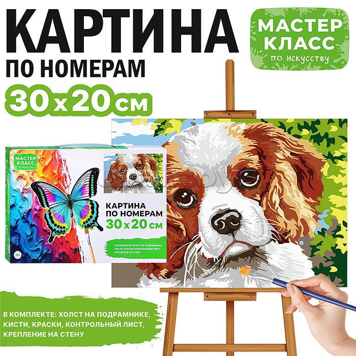 Картина по номерам "Спаниель" 30*20  см.