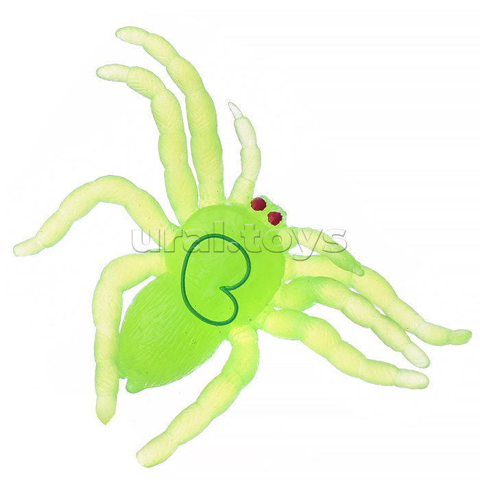 Паук, в пакете