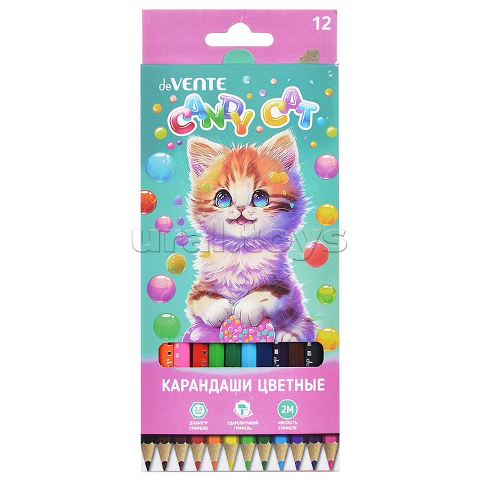 Карандаши цветные "Candy Cat" 12 цветов, 2М, диаметр грифеля 2,8 мм, шестигранные, в картонной коробке